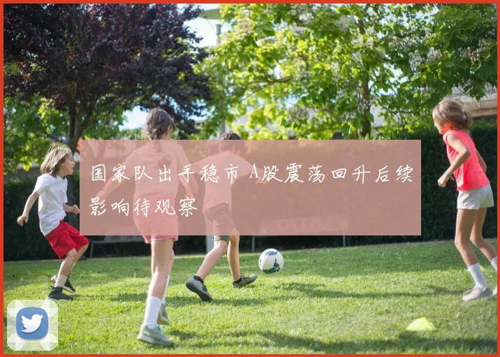 国家队出手稳市 A股震荡回升后续影响待观察