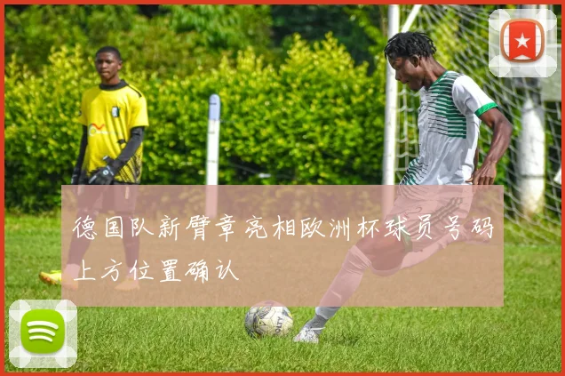 德国队新臂章亮相欧洲杯球员号码上方位置确认