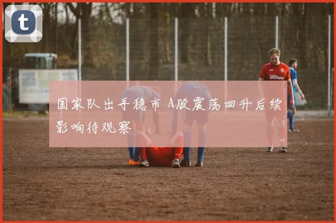 国家队出手稳市 A股震荡回升后续影响待观察