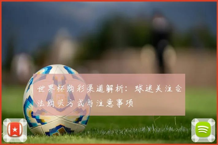 世界杯购彩渠道解析:球迷关注合法购买方式与注意事项