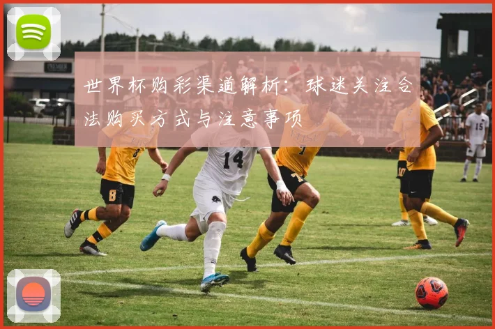 世界杯购彩渠道解析:球迷关注合法购买方式与注意事项