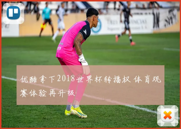 优酷拿下2018世界杯转播权 体育观赛体验再升级